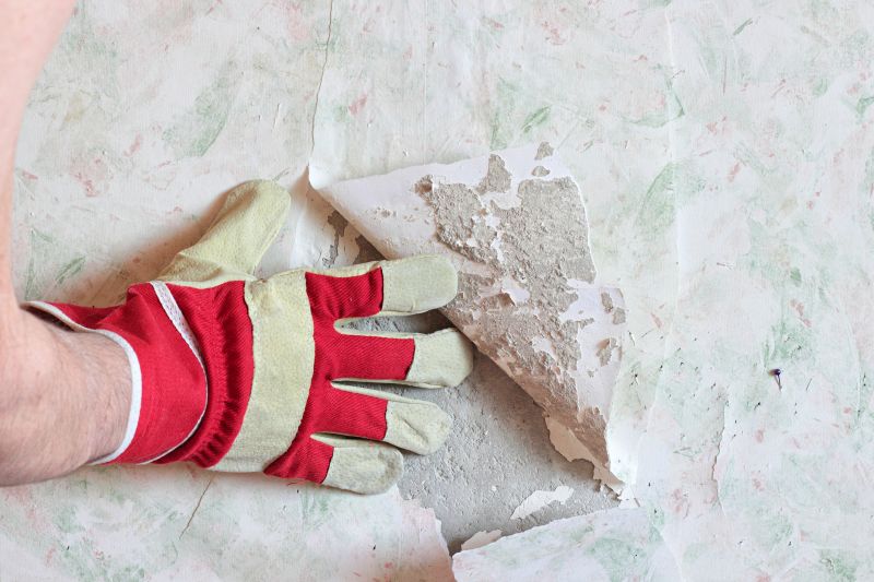 Wallpaper Removal Service